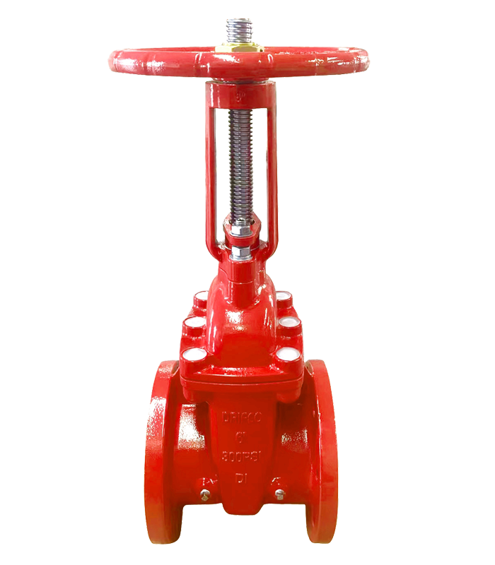 pp-31.png